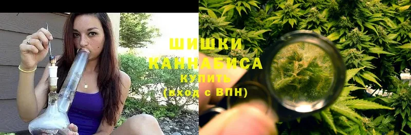 Конопля Bruce Banner  Ртищево 